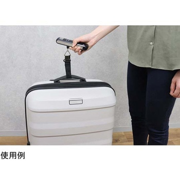 サイズもはかれるラゲッジスケール ドリテック