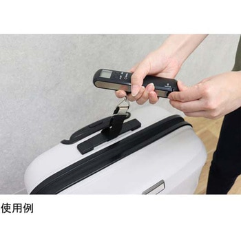 サイズもはかれるラゲッジスケール ドリテック