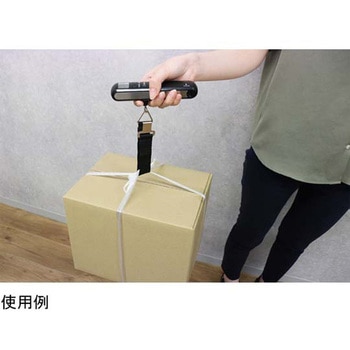 サイズもはかれるラゲッジスケール ドリテック