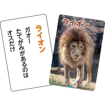 これはなんの音?かるた～いきもの～ アーテック[学校教材・教育玩具]