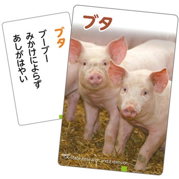 これはなんの音?かるた～いきもの～ アーテック[学校教材・教育玩具]