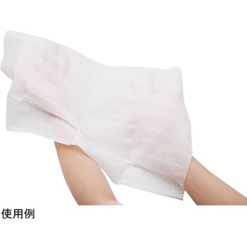 清拭用大判ウェットタオル ふわっとTOUCH 10234 40本×8パック入 アオトプラス