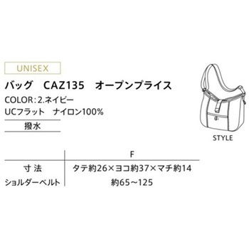 CAREAN バッグ F カーシーカシマ