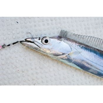 DJ-89 太刀パイク カツイチ