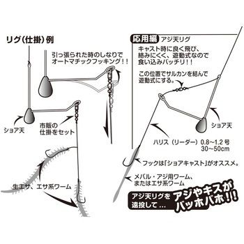 SG-21 ショア天 カツイチ