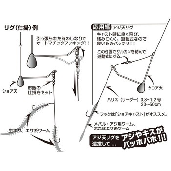 SG-21 ショア天 カツイチ