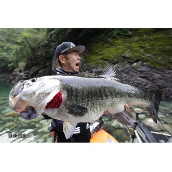 Worm30M マキサスフックマグナム カツイチ