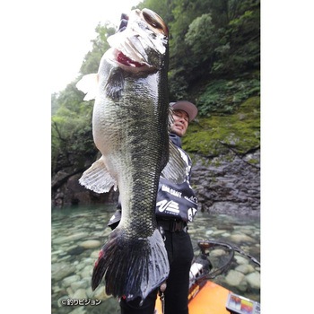 Worm30M マキサスフックマグナム カツイチ