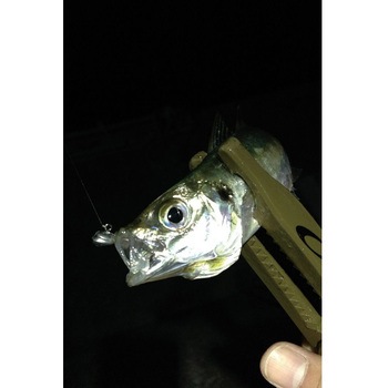 SV-55 アジドライブ カツイチ