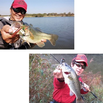 ZF-1S ゼロダンフラッシュオフセット カツイチ