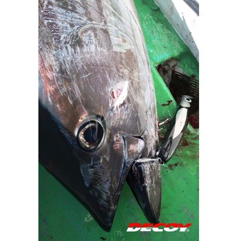 Y-S22 トレブル カツイチ