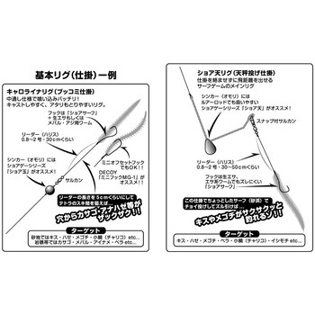 SG-1 ショアサーフ カツイチ