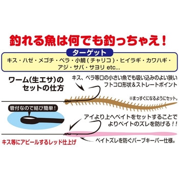 SG-3 ショアファイン カツイチ