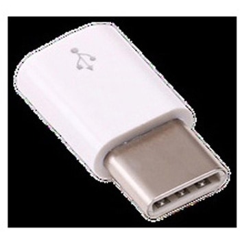USB micro-B-Type-C変換アダプタ Raspberry Pi(ラズベリーパイ)