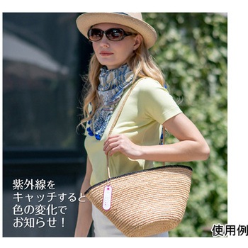UVレベルチェック リップミラー 堀内鏡工業