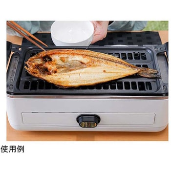 無煙で美味しい 肉と魚のWグリル サンコー(電子機器)