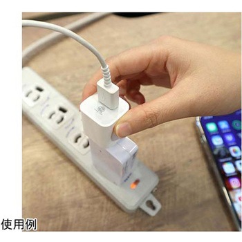 iPhoneオートバックアップCube サンコー(電子機器)