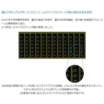 DMSO対応スライドグラス 高密度化アミノ基導入コート 25.4×76.2×1.0mm 25枚入 松浪硝子