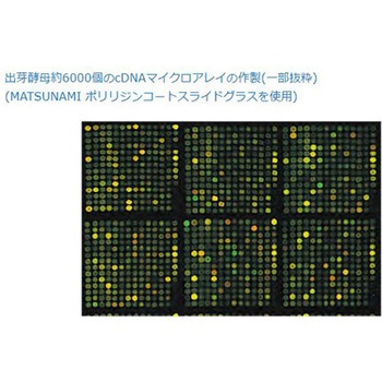DMSO対応スライドグラス 高密度化アミノ基導入コート 25.4×76.2×1.0mm 25枚入 松浪硝子