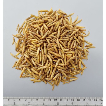 ヘルシーレシピ カルシワーム 35g ジェックス