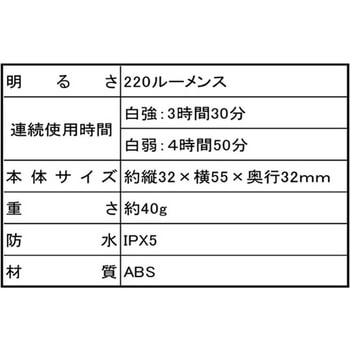FIRE-FOX USB充電・赤外線センサー付きコンパクトLEDヘッドランプ Richbond