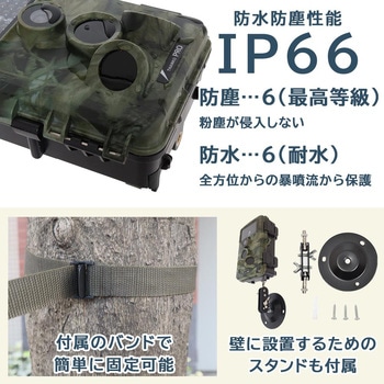 置くだけ簡単「トレイル防犯カメラ」 サンコー(電子機器)