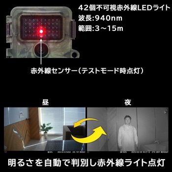 置くだけ簡単「トレイル防犯カメラ」 サンコー(電子機器)