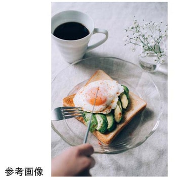 耐熱ガラス製プレート1100 16個入 HARIO