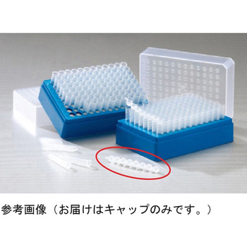 マイクロタイターチューブ用キャップ 未滅菌 12本×10個入 - Thermo Scientific
