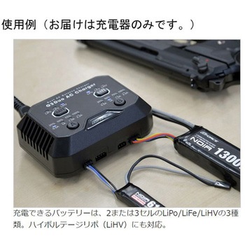 G3 DUO AC CHARGER GFORCE