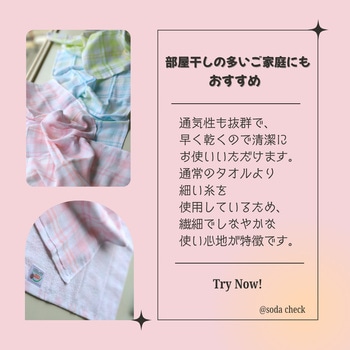 表ガーゼ裏パイル チェック柄タオル 林