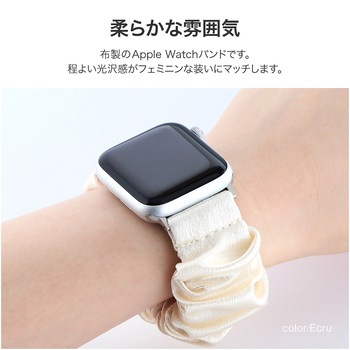 Apple Watch 38/40/41mm バンド 「CORVIN」 シュシュバンド LEPLUS NEXT