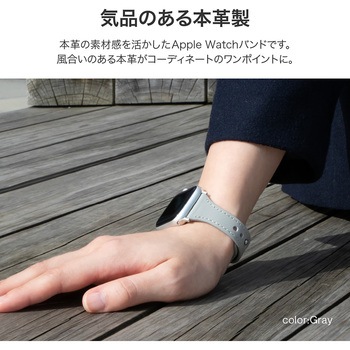 Apple Watch 38/40/41mm バンド 「CORVIN」 スリムシンプルレザーバンド LEPLUS NEXT