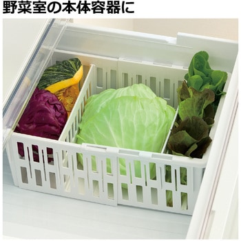 トトノ 野菜・冷凍室用 伸縮ストッカー深型 Richell(リッチェル)