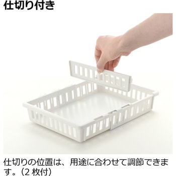 トトノ 野菜・冷凍室用 伸縮ストッカー浅型 - Richell(リッチェル)