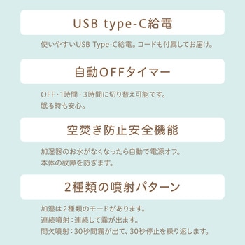 ルームライト加湿器 すみっこぐらし とかげ CCP