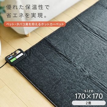 Amazon | [山善] 省エネ ふわふわ ホットカーペット 電気
