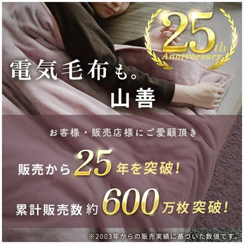 電気毛布 省エネタイマー付き YAMAZEN(山善)