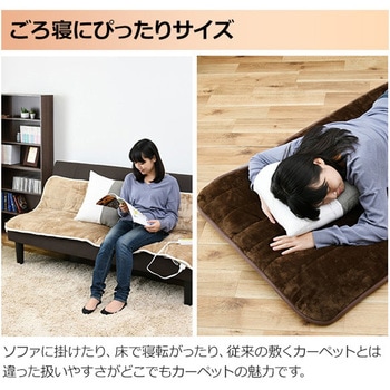 ホットカーペット 空気をキレイにする 洗えるどこでもカーペット YAMAZEN(山善)