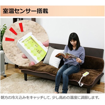 ホットカーペット 空気をキレイにする 洗えるどこでもカーペット YAMAZEN(山善)