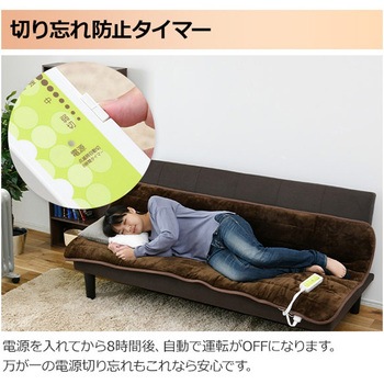 ホットカーペット 空気をキレイにする 洗えるどこでもカーペット YAMAZEN(山善)