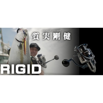 RIGID リジッド SLASH