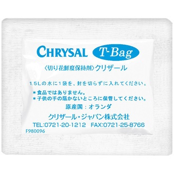 クリザール T-バック クリザールジャパン