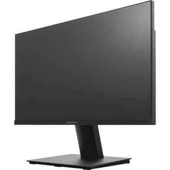 「5年保証」100Hz広視野角VAパネル採用フルHD液晶ディスプレイ 4端子モデル プリンストン