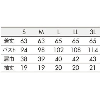 ニットシャツ レディス - 住商モンブラン