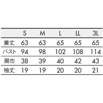 ニットシャツ レディス 住商モンブラン