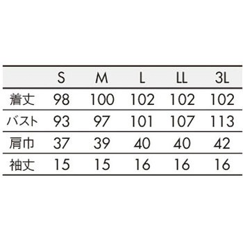 ナースワンピース 半袖 住商モンブラン