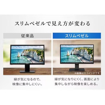 液晶ディスプレイ エスコ