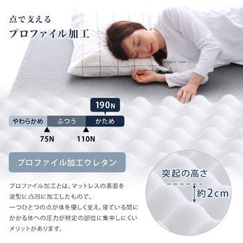 高反発プロファイルウレタンマットレス【Beleza10-ベレーザ・テン-】(クイーン) ホームテイスト