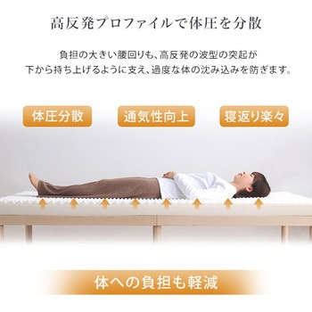 高反発プロファイルウレタンマットレス【Beleza10-ベレーザ・テン-】(クイーン) ホームテイスト